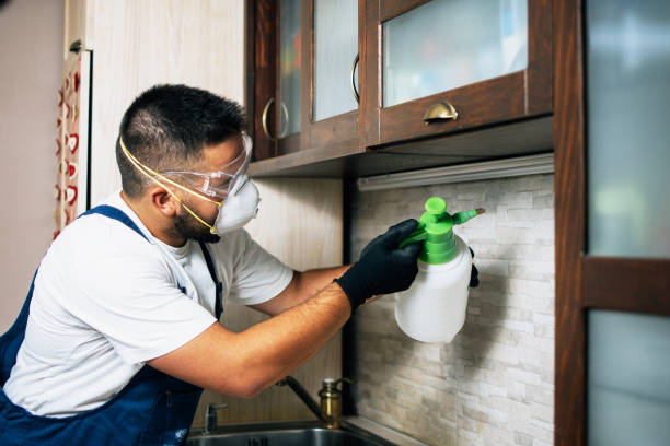 Best Affordable Pest Control Services  in Tye, TX