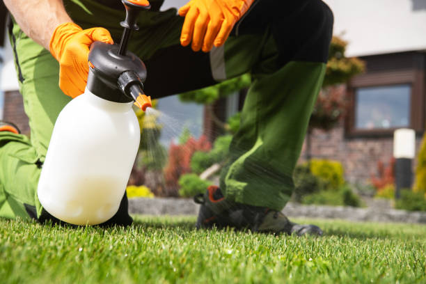 Best Ant Control Services  in Tye, TX