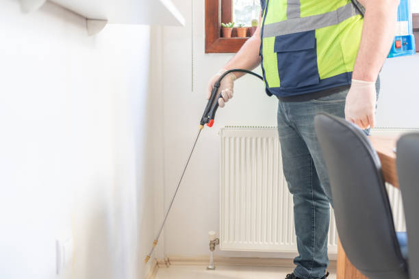 Best Local Pest Control Services  in Tye, TX