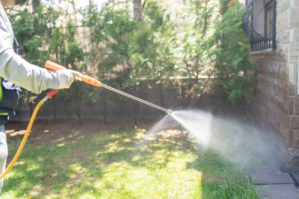 Best Flea Control Services  in Tye, TX