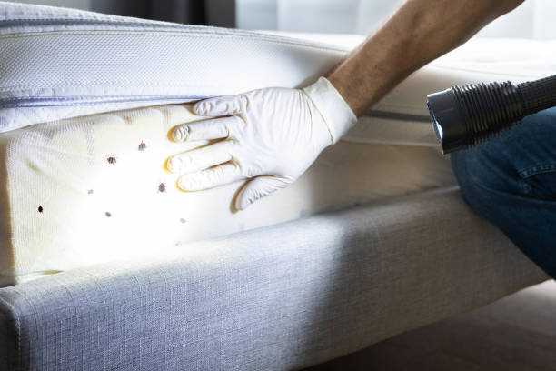 Best Wildlife Control Services  in Tye, TX