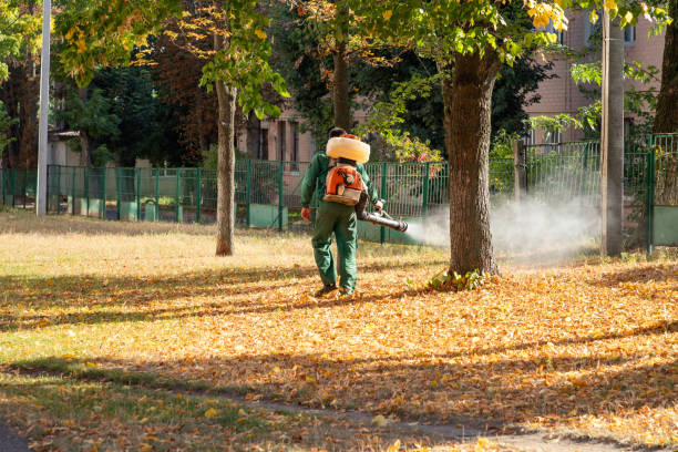 Best Commercial Pest Control Services  in Tye, TX