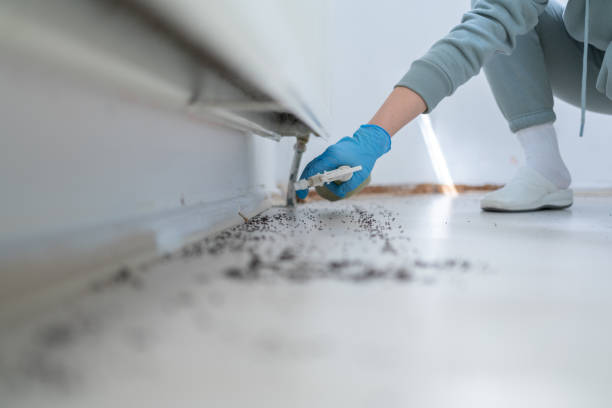 Flea Control Services in Tye, TX